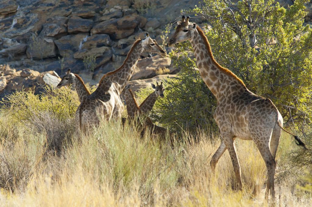 Tutwa Desert Lodge Augrabies Exterior photo